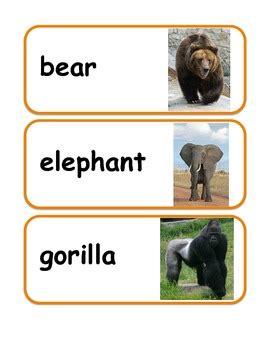 Zoo Animal Vocabulary / Word Wall Cards by Gimmekiss | TpT