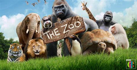 Zoo animals are the stars of new TV show   Whats On South West