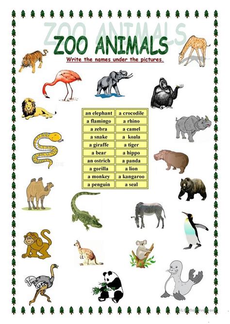 ZOO animals   English ESL Worksheets for distance learning and physical ...