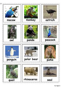 Zoo Animals Vocabulary Cards by Angie S | Teachers Pay Teachers