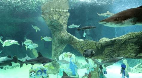Zoo Aquarium ahorra hasta el 60% con nuestros trucos de 2022