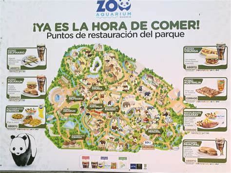 Zoo Aquarium de Madrid: AGGIORNATO 2020   tutto quello che ...