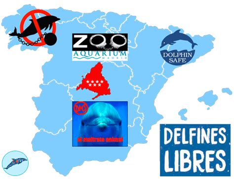 Zoo Aquarium de Madrid en el punto de mira   Tierra de delfines
