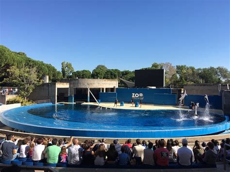 Zoo Aquarium de Madrid   Lo más comentado por la gente   TripAdvisor