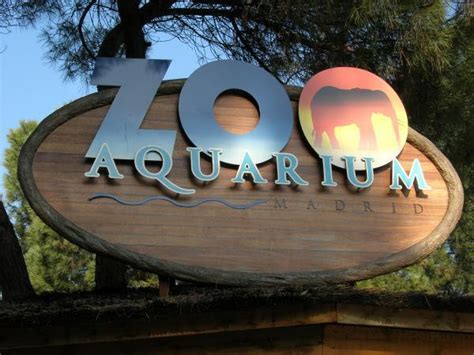 Zoo Aquarium de Madrid   Madrid