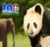 Zoo Aquarium Madrid   Comprar entradas online con descuento.