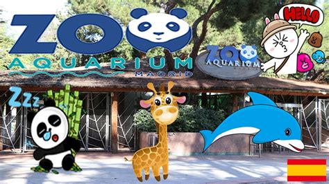 Zoo Aquarium Madrid    YouTube