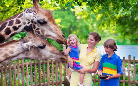 Zoo Atlanta: Animal Exhibits & Sightseeing