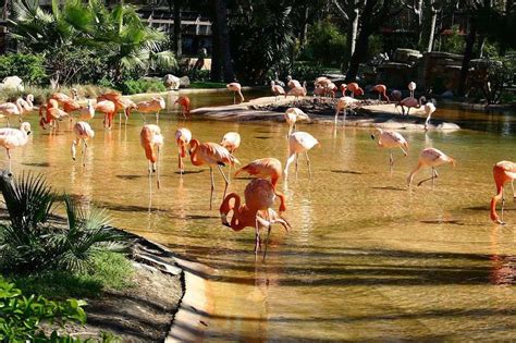 Zoo Barcelona. Horarios, entradas e info sobre el Zoo de ...