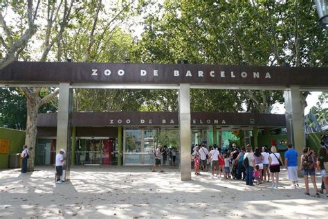 Zoo Barcelona Ofertas   SEO POSITIVO