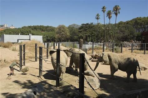 Zoo de Barcelona: Opiniones, Info, Precios, Ofertas ...