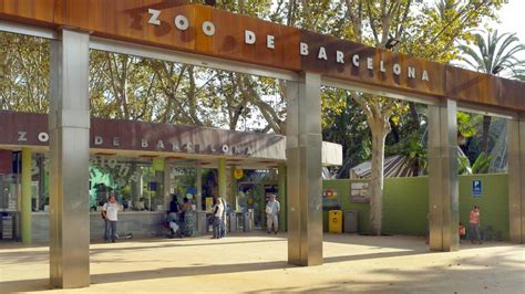 Zoo de Barcelone | Meet Barcelona