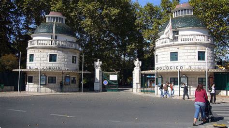 Zoo de Lisboa comemora aniversário com muita surpresas ...