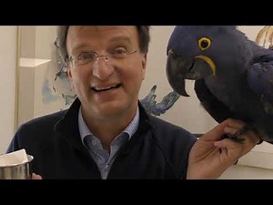 Zoo Einblick 16: Vogelnachwuchs