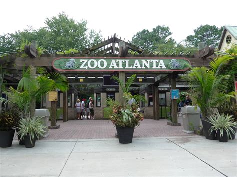 Zoo Entrada: Ideas