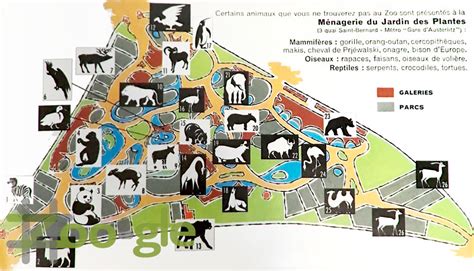 Zoo gle » Parijs Vincennes