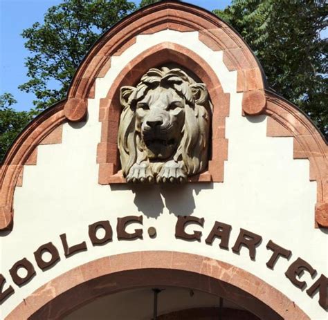 Zoo lässt Besucher hinter die Kulissen der Raubtiergehege schauen   WELT