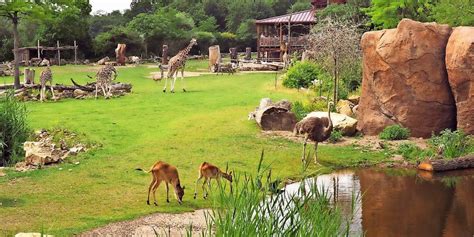 Zoo Leipzig bleibt für Besucher weiterhin geschlossen