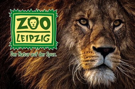 Zoo Leipzig   Katzmann Reisen