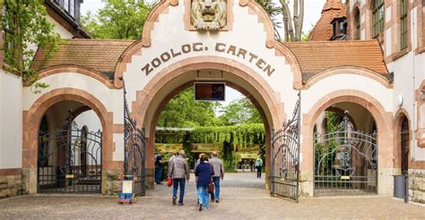 Zoo Leipzig Online Ticket : Zoo Leipzig Offnet Nach Corona Pause Wieder ...