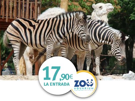 Zoo Madrid   Tu entrada por solo 17,90€ | Carné de ...