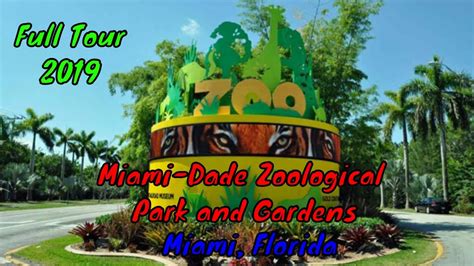 Zoo Miami Full Tour   Miami, Florida   YouTube