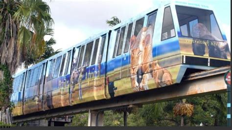 Zoo Miami Monorail fail   YouTube
