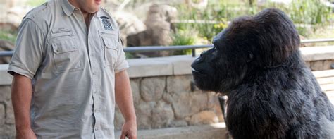 Zookeeper Movie Review & Film Summary  2011  | Roger Ebert