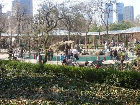 Zoológico de Central Park | Turismo Nueva York