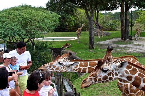 Zoológico de Miami Zoo en Florida   2020