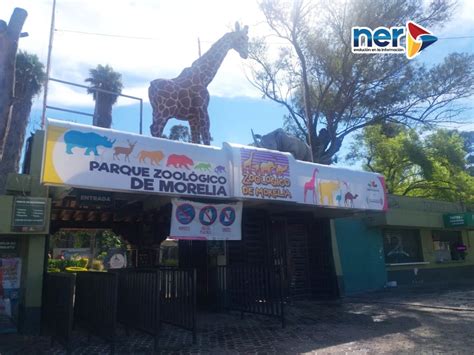 Zoológico de Morelia no contempla incremento precios en su ...