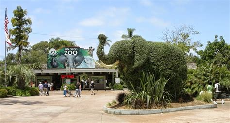 Zoológico de San Diego na Califórnia | Dicas de Las Vegas ...