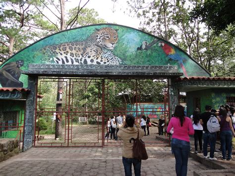 Zoológico del Picacho lugar increíble para disfrutar en ...