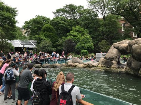 Zoológico em Nova York: Central Park   Nova York e Você
