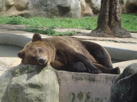 Zoológico La Aurora