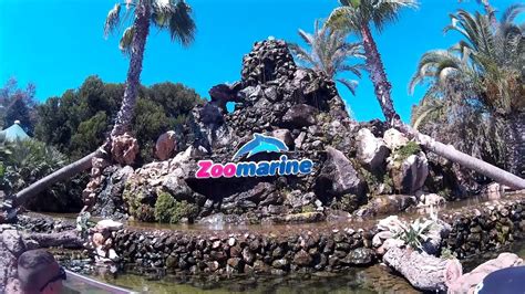 Zoomarine Algarve Experience   YouTube