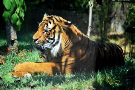 Zoos and Wildlife Parks in Louisiana